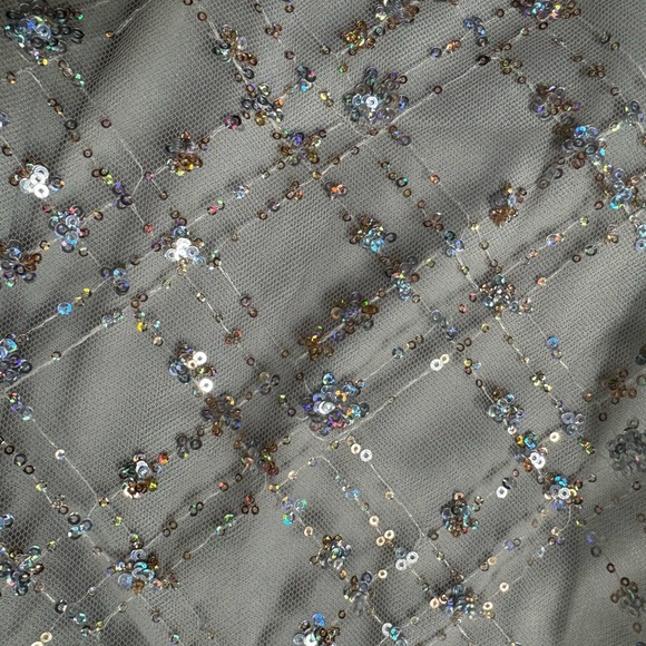 Lucy in the Sky Sequined Silver A-Line Dress - Picture 5 of 8